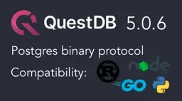 Banner for blog post "QuestDB 5.0.6 Release Highlights, January 2021"