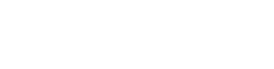 SCHOTTEL logo